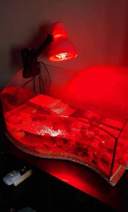 Акваріум,акватераріум,з усім наповненням в ідеал.стані(фільтр,лампа,термометр)