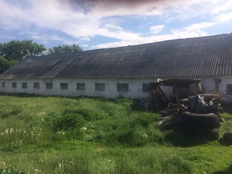 Продам ферму з 2 сараями