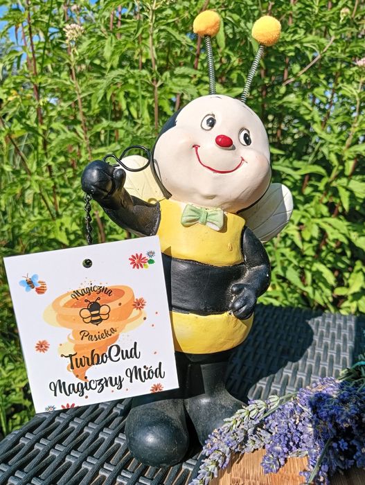 Miód z pasieki świętokrzyskiej