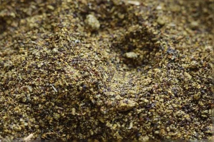 Śruta rzepakowa 35.7% Bigbag cena BRUTTO