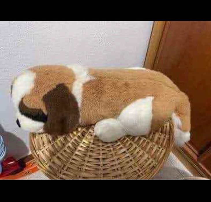 Vendo peluche em bom estado
