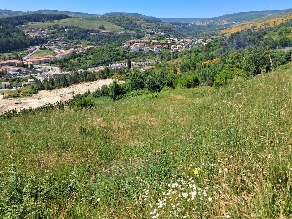 Terreno Serra das Meadas - Lamego