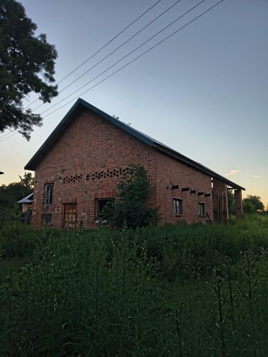 Zdjęcie 4