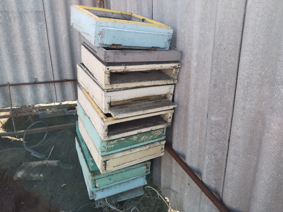 Днища ппс лисонь бартнік бу