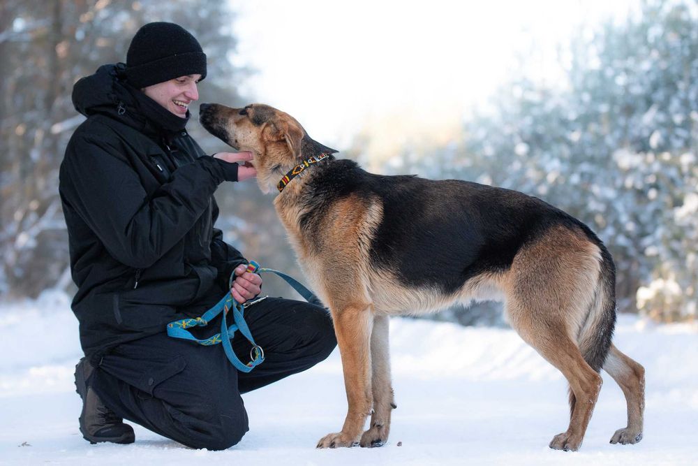 CCAMARO - duży, łagodny, przytulaśny