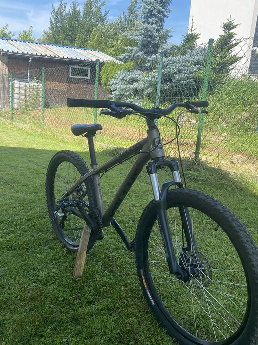 Kellys Whip 10
