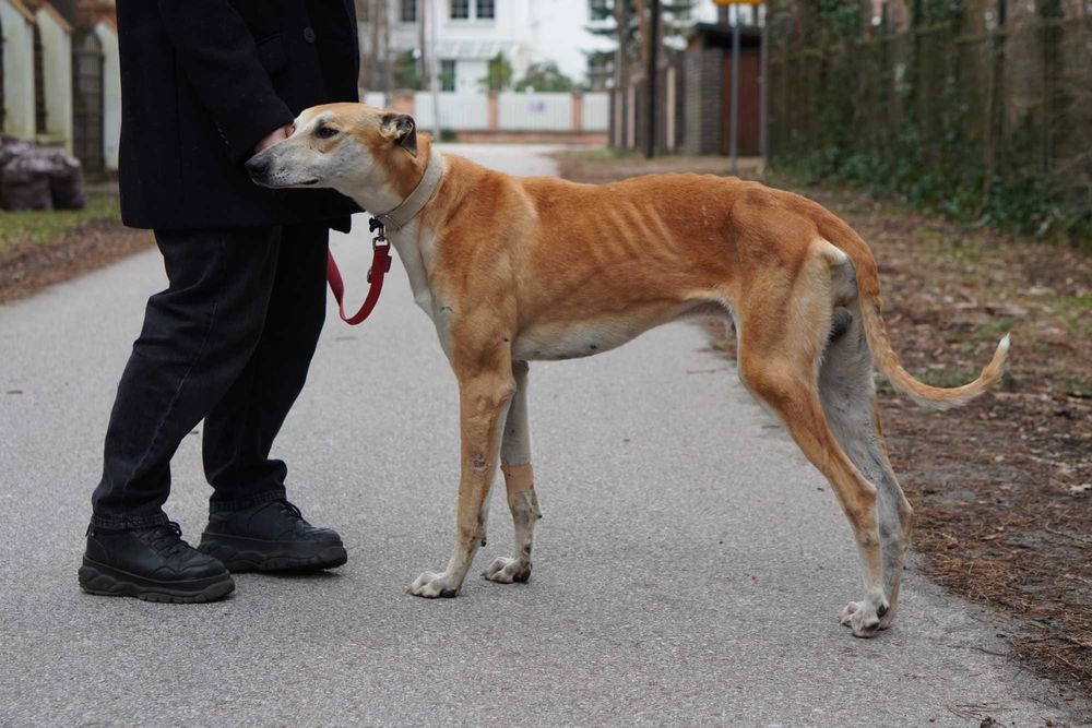 Zjawiskowy młody Julian do pokochania!