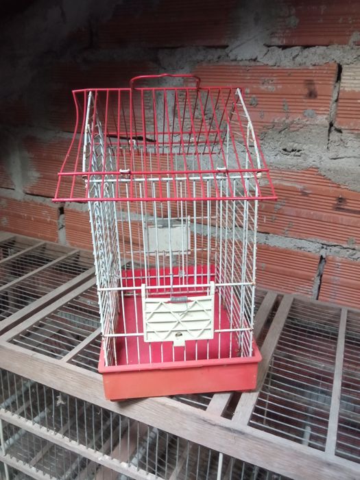 Gaiola tropical vermelha e branca