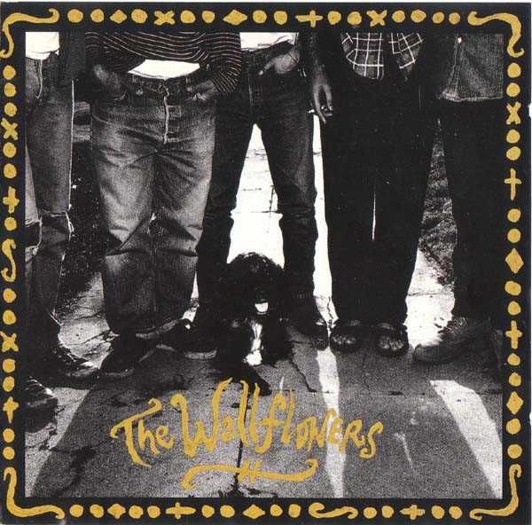 The Wallflowers + Starsailor + Subcircus ... [CD's]