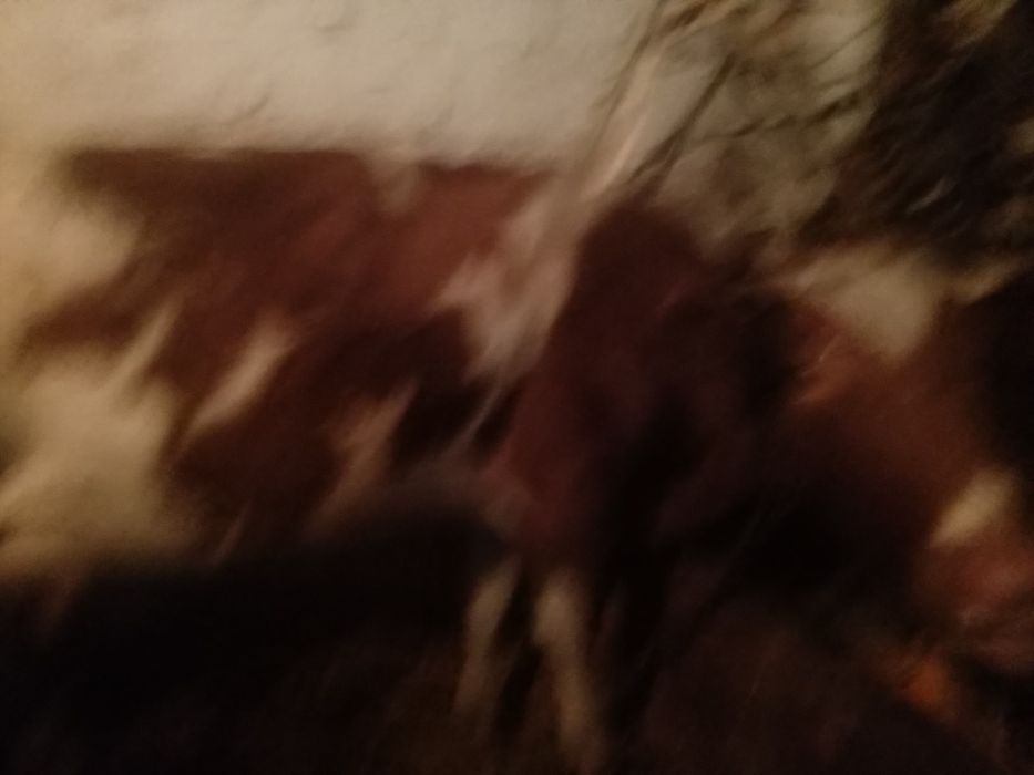 Продам добру корову