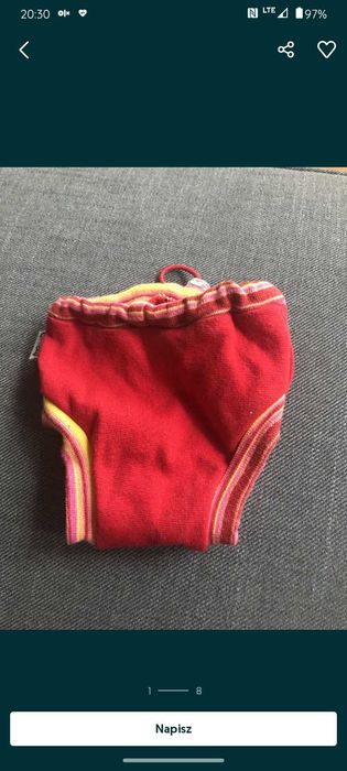 majtki na cieczkę  dla suczki wielkości yorka