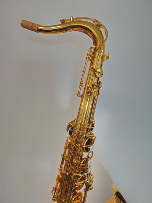 Saxofone Tenor NOVO Eastman ETS223