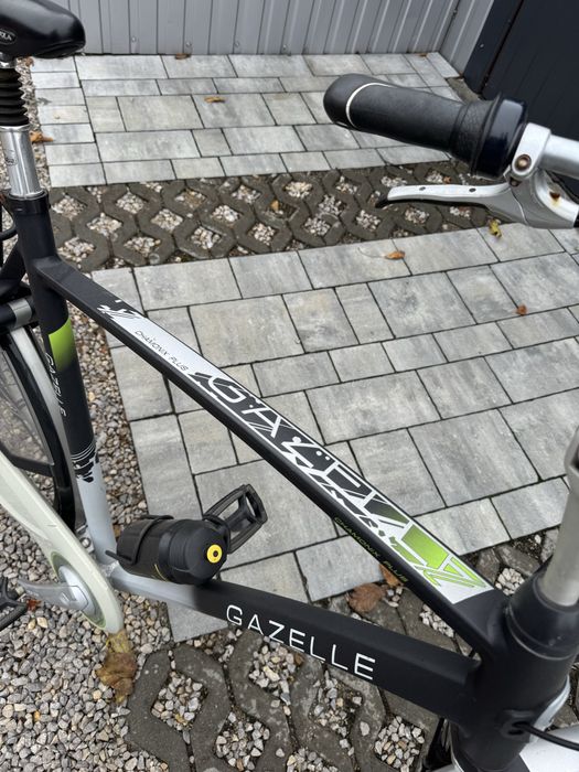 Rower męski gazelle
