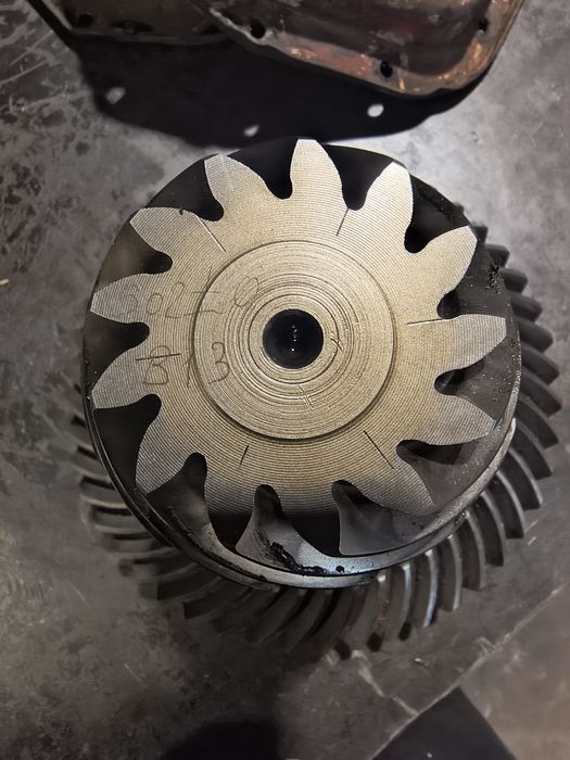 Продам головну пару на івеку