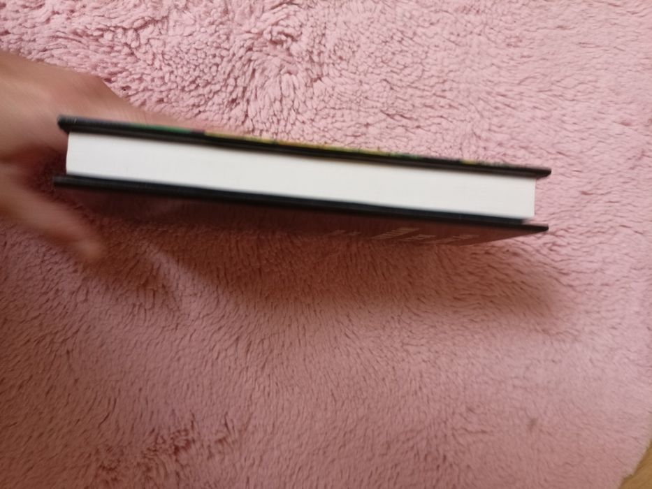 Stanisław Ignacy Witkiewicz Jedynie Wyjście