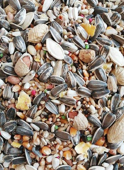 Karma dla papugi dużej, np. dla Ary, Żako, Kakadu, worek 10kg