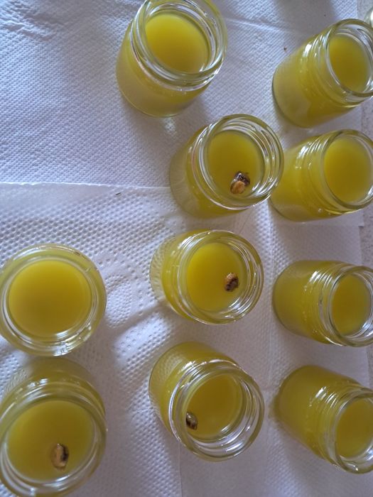 Maść glistnik 25 ml