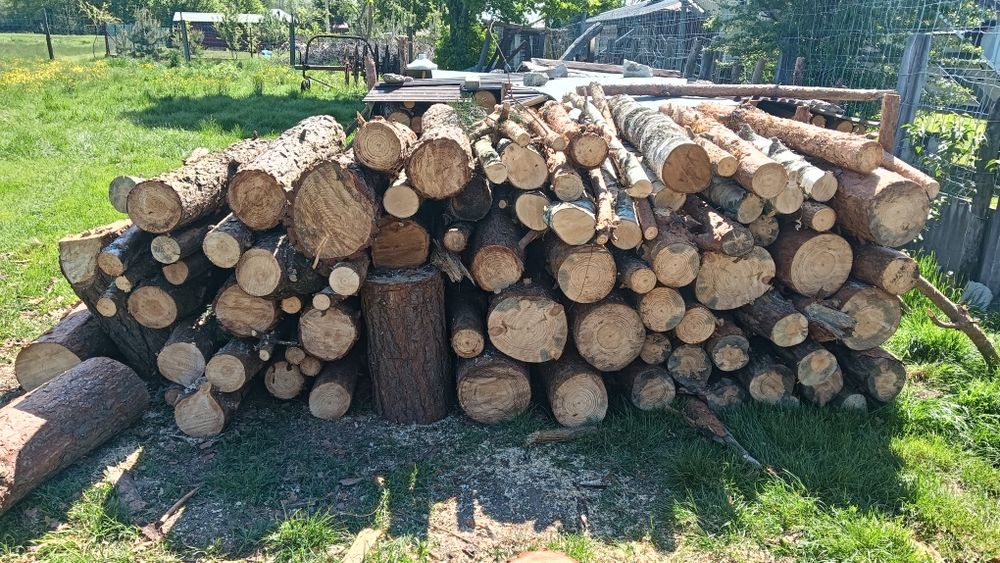Drewno opałowe sosna, świerk, brzoza