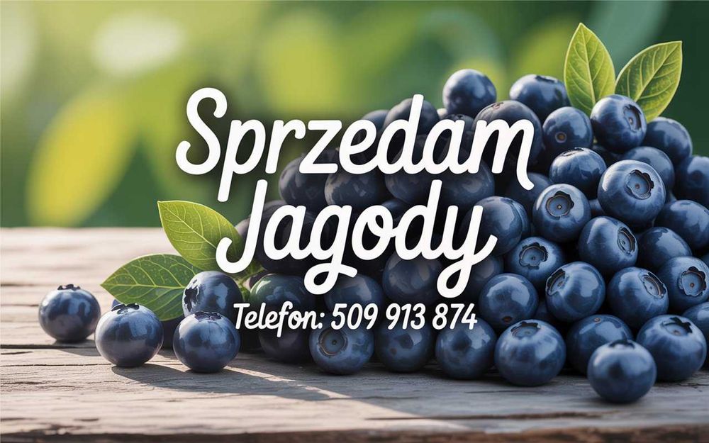 Jagody leśne - tanio, smaczne