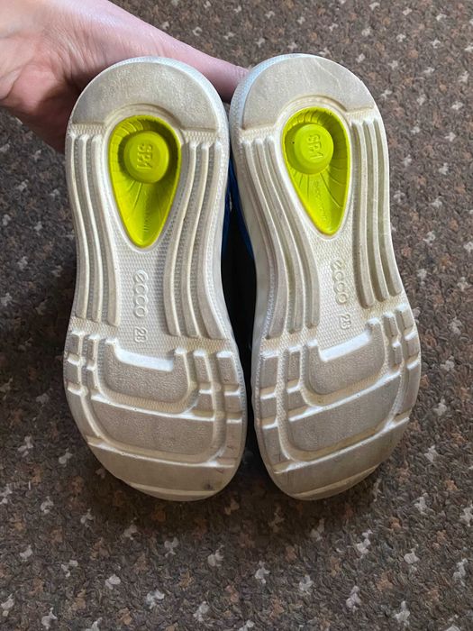 кросівки    Ecco