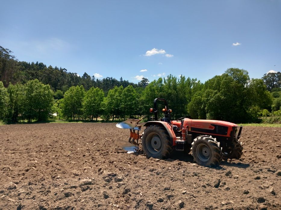 Prestação de serviços agrícolas e florestais