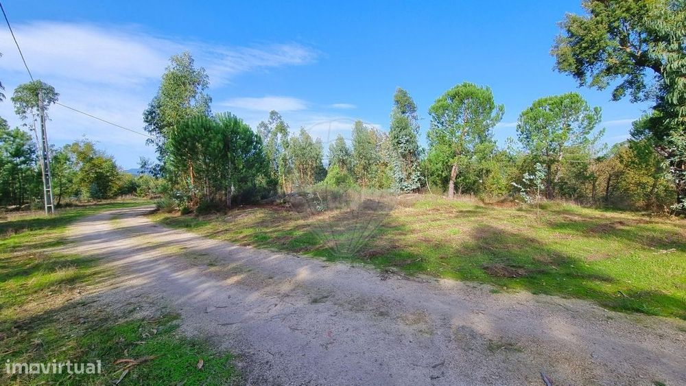 Terreno  para venda — Canas de Santa Maria, Viseu