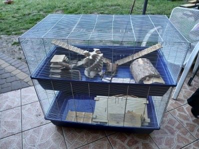 Klatka dla chomika 2 poziomowa z dodatkami
