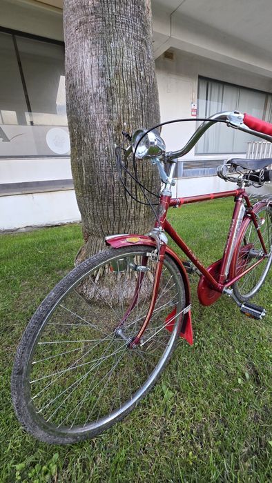Bicicleta "Pasteleira" Sangal