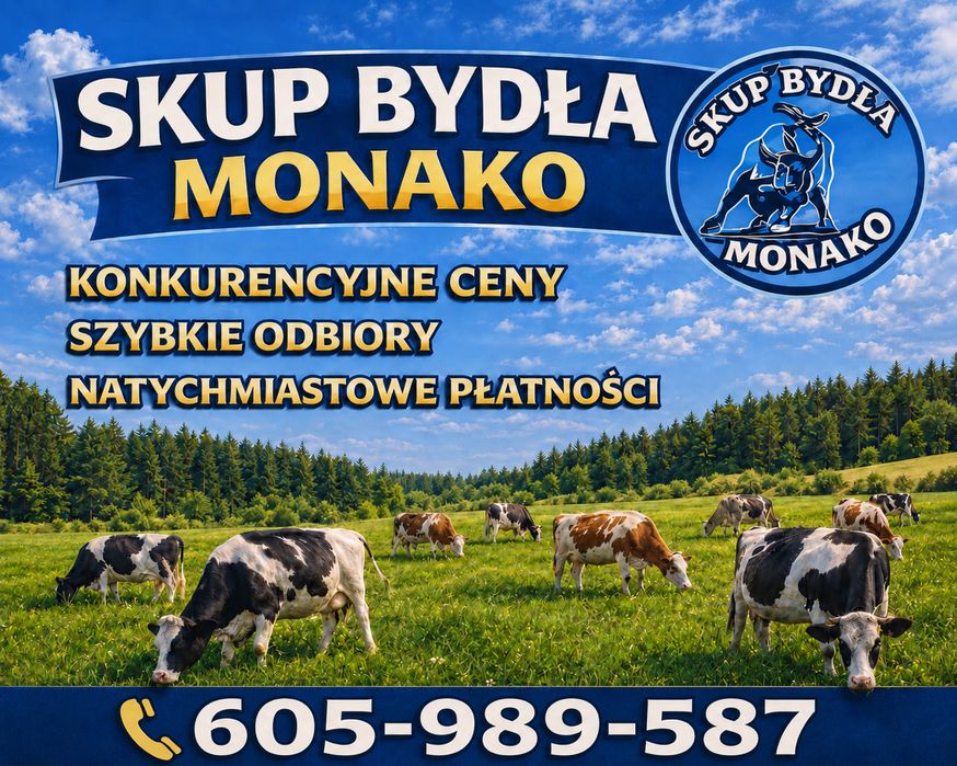 Skup Bydła Byki/Krowy/Jałówki/cielęta/odsadki
