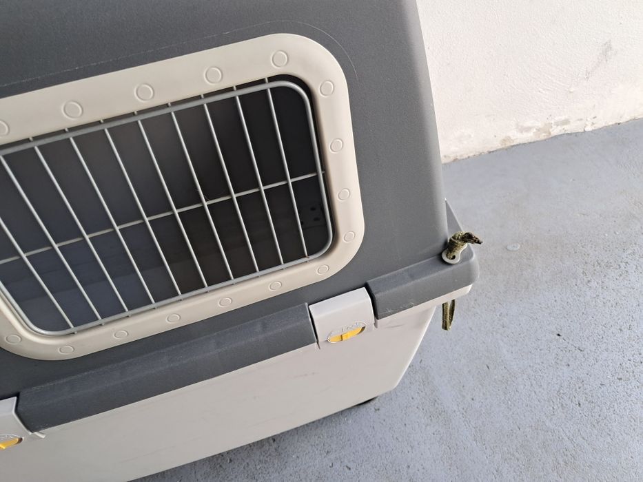 Transportadora Gulliver VI