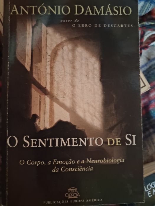 O Sentimento de Si