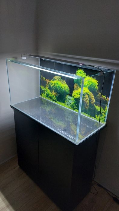 Akwarium optiwhite 145 l