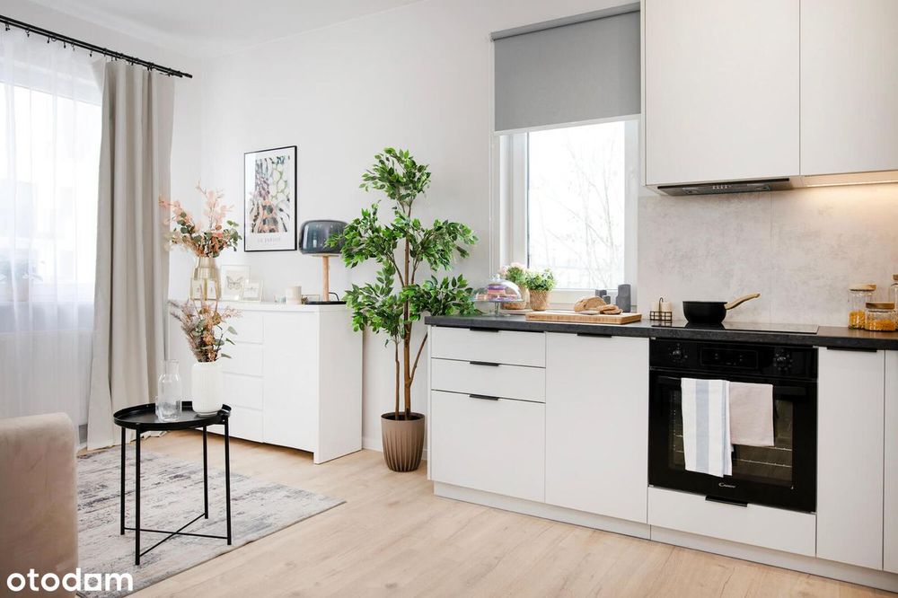 Najem od 3 miesięcy | Zwierzęta OK| from 3 months!| 1BED | Pets OK