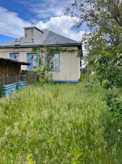 Пропоную до продажу будинок в с. Березняки.ЦІНУ ЗНИЖЕНО