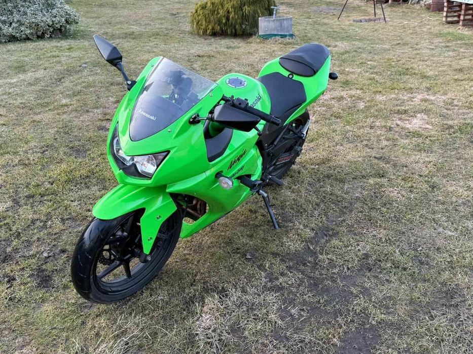 Kawasaki ninja 250 r