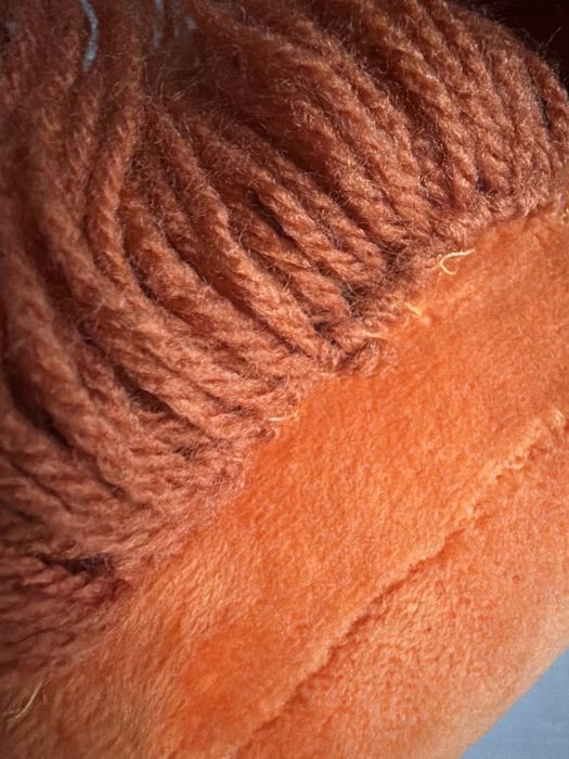 Hobby horse z piekną odmianką