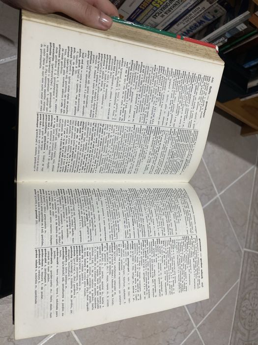 Brockhaus Picture Dictionary