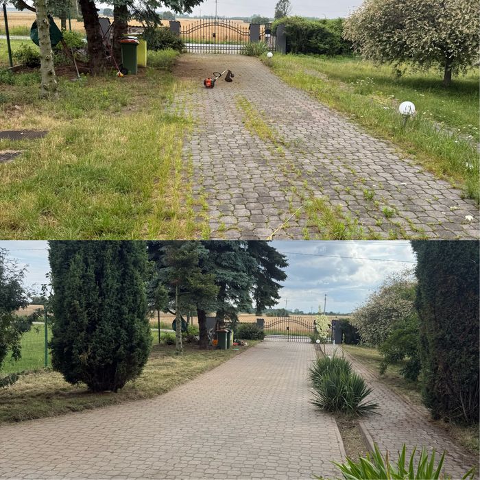 Rębak, glebogryzarka seperacyjna, koszenie, prace ogrodowe, transport