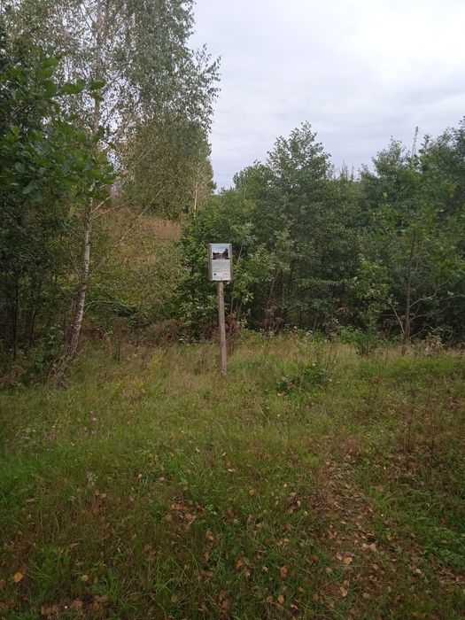 Оренда приміщень