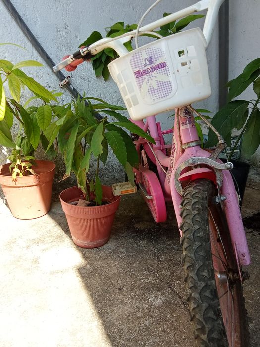 Bicicleta Criança Blossom