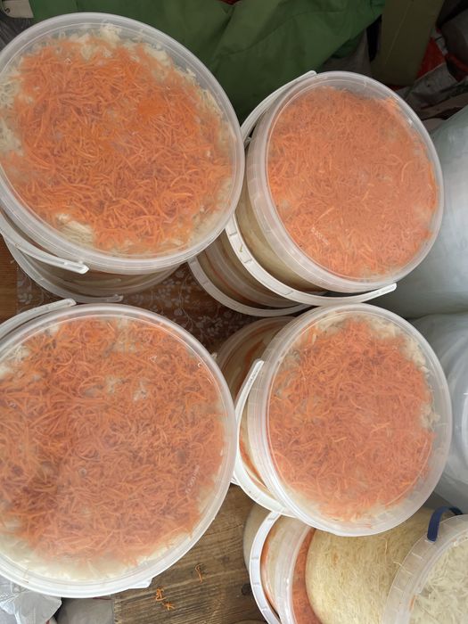 Квашена капуста 10л, 5л