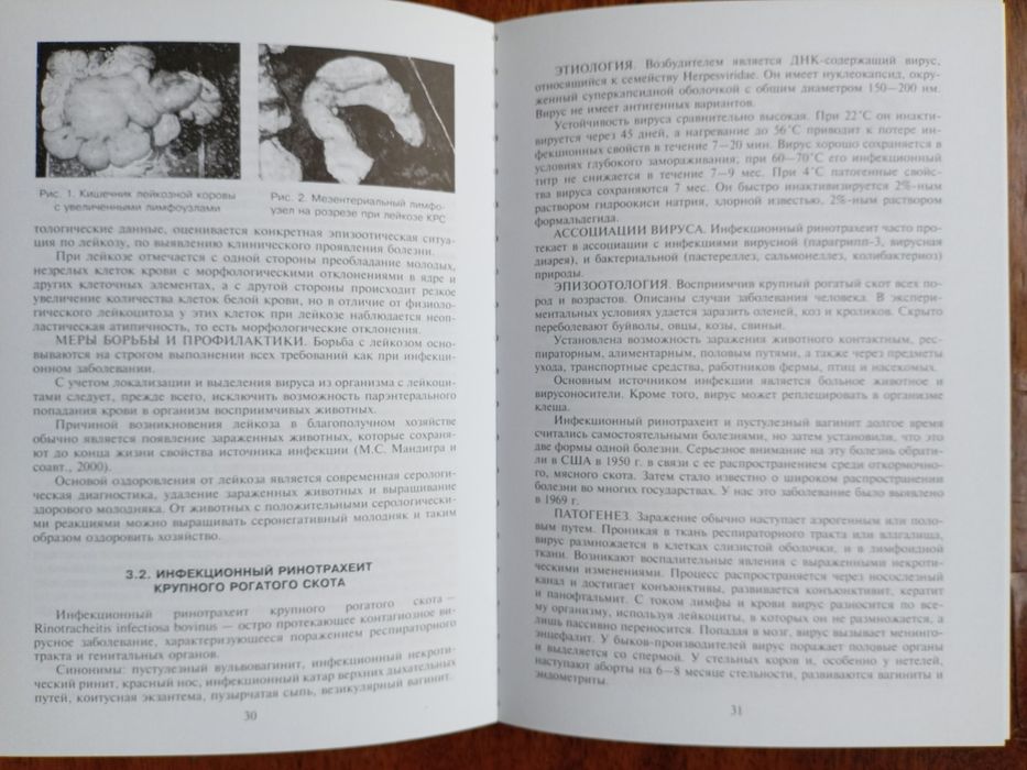 Книга Вирусные инфекции сельхоз. животных