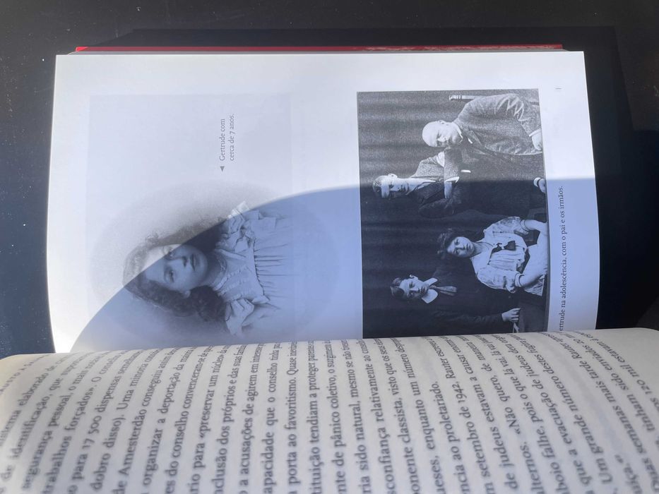 Do Holocausto à Salvação - Bernard Wasserstein