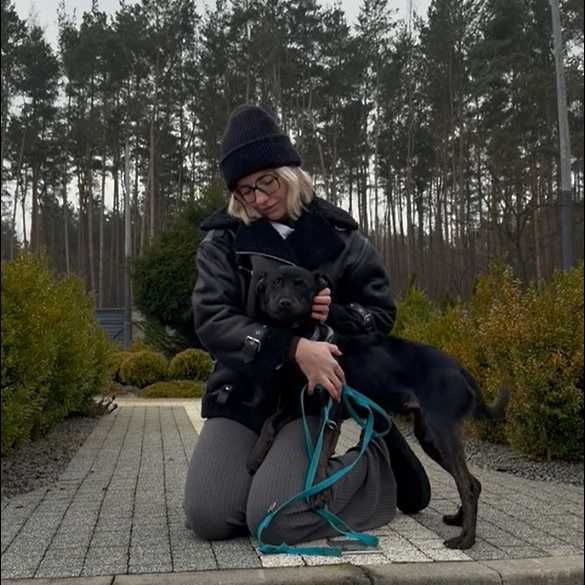 Energiczny, radosny Parcel szuka domu