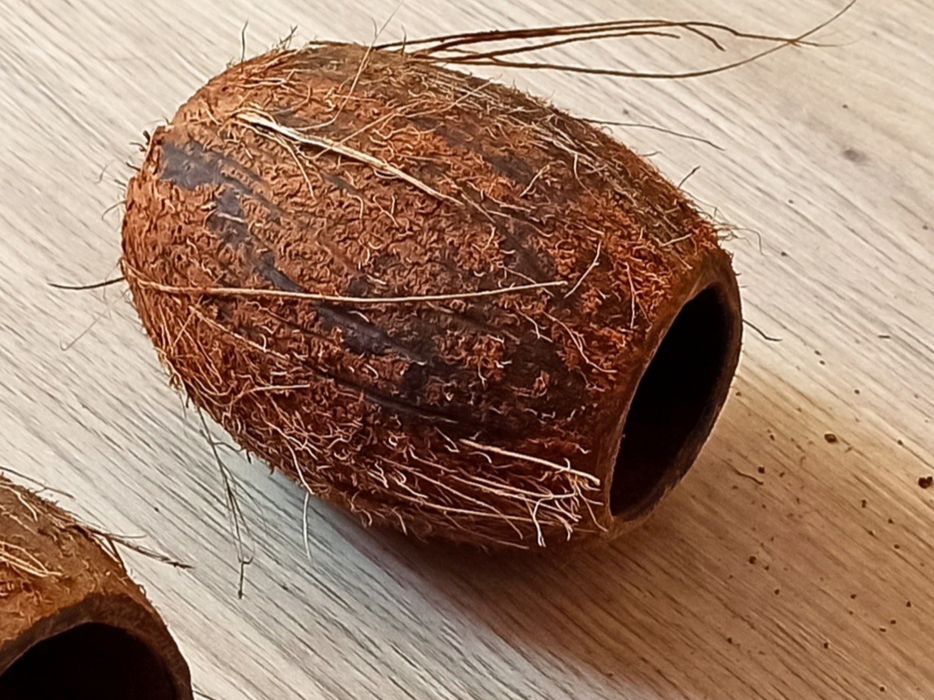 Домик укрытие нерестовик для рыбок креветок раков Кокос натуральный