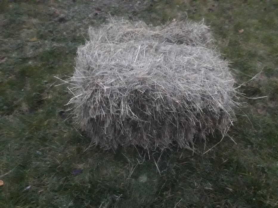 Sprzedam tegoroczne siano i słomę