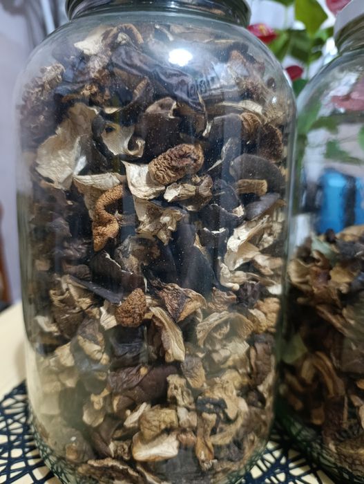 Grzyby suszone mix podgrzybki prawdziwki kozaki