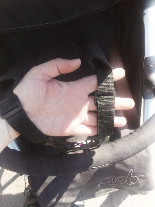 Прогулка Caretero moby