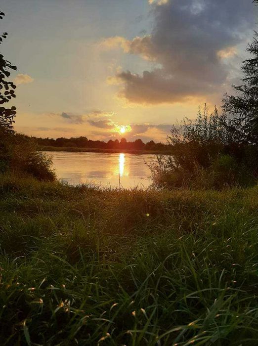 Domek nad rzeką Pilicą. Białobrzegi. Kajaki,rowery,grzyby wędkowanie. 40 min od Wawy.