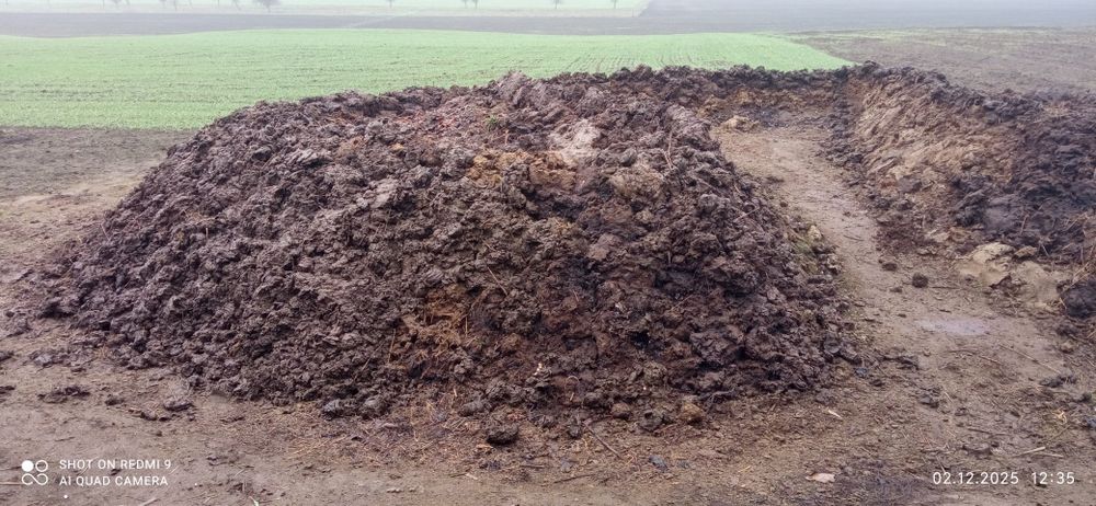 Навоз коровий, свежий,сыпец